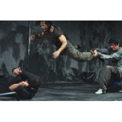 The Raid 2 (2014)